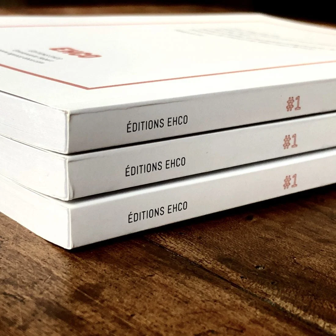 Agence EHCO - Récits biographiques Les éditions EHCO vous soutiennent dans l’écriture de vos récits biographiques. Un ouvrage à partager avec votre famille ou vos amis.
