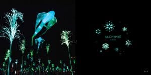 Agence EHCO ? FÊTE DES LUMIÈRES 2019 (Retour en images)